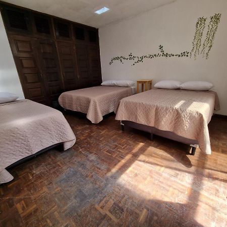 Central Hostel Zona 10 Guatemala City Екстериор снимка