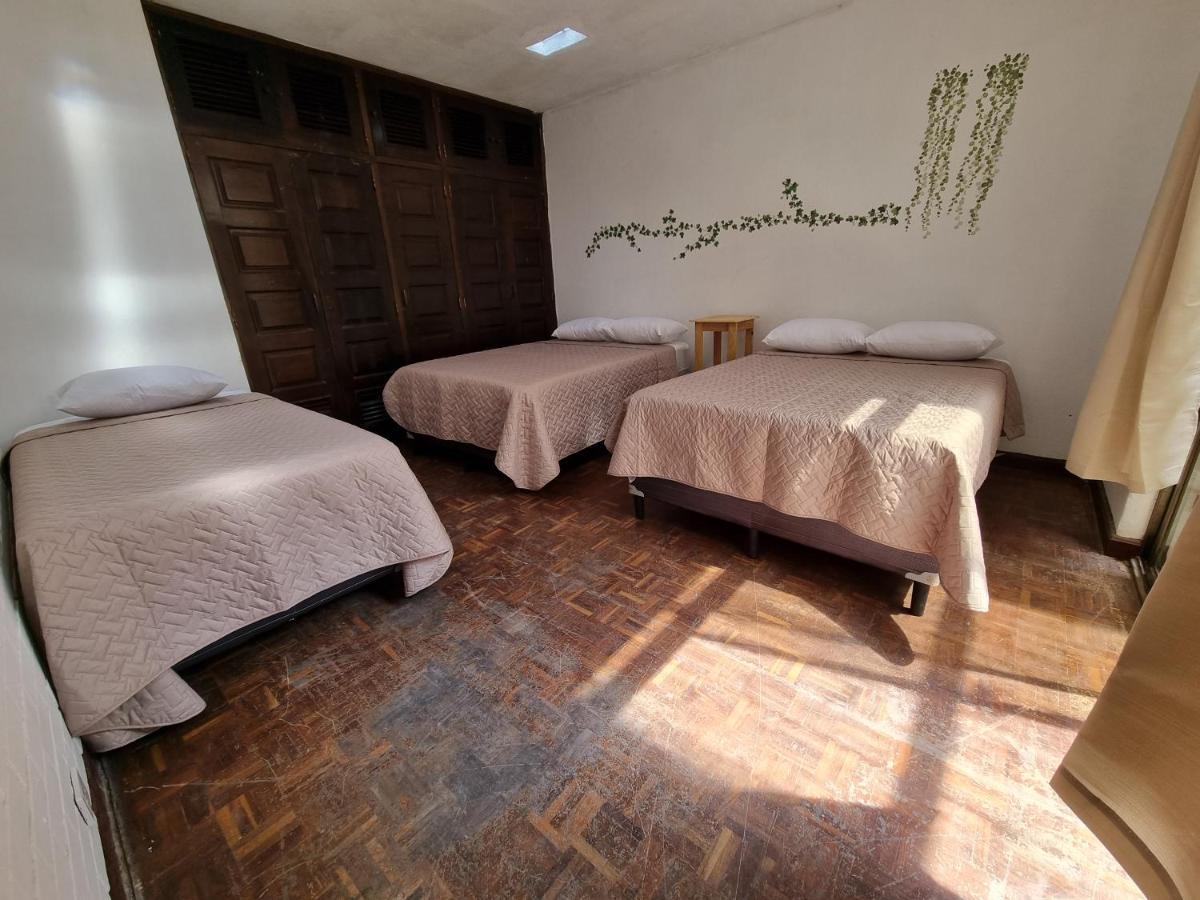 Central Hostel Zona 10 Guatemala City Екстериор снимка